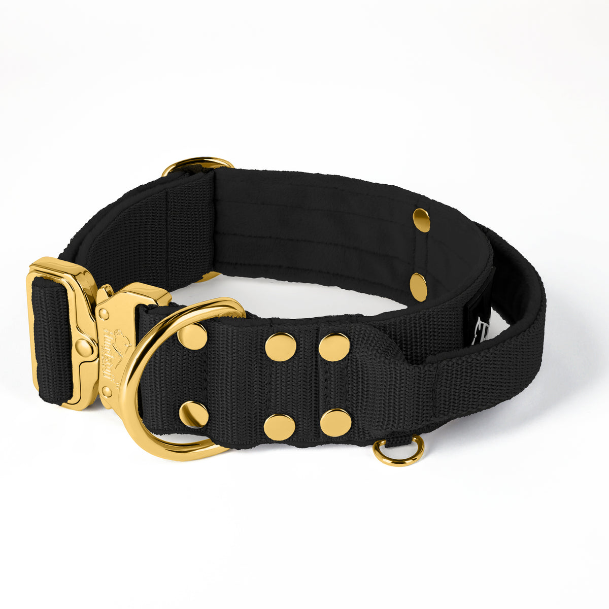 Extreme Buckle Gold Buckle Black