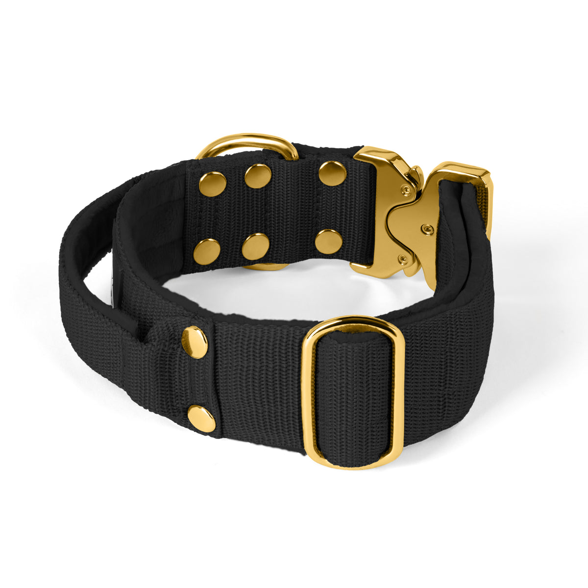 Extreme Buckle Gold Buckle Black