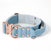 Extreme Buckle Rose Edition Baby Blue
