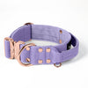 Extreme Buckle Rose Edition Baby Purple