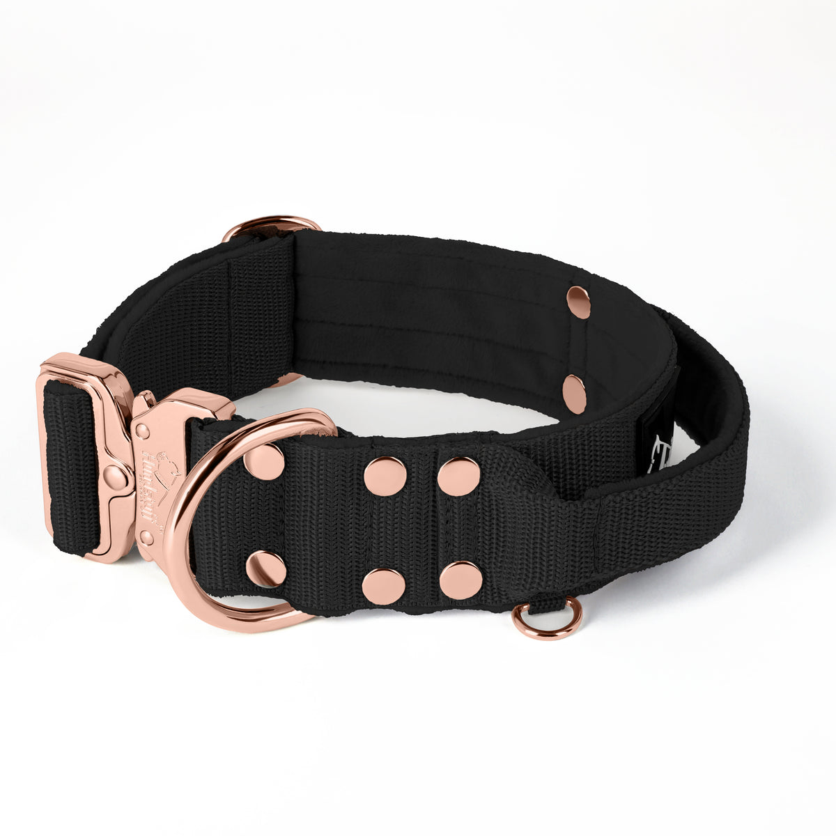 Extreme Rose Buckle Black - Collier solide et sécurisé
