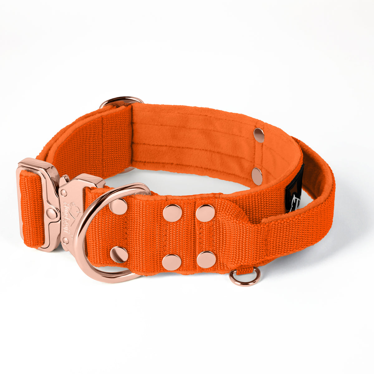 Extreme Buckle Rose Edition Orange