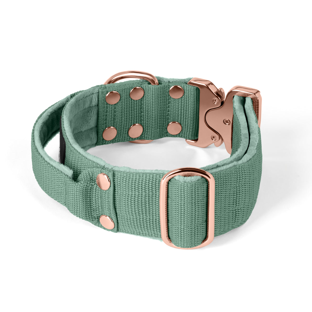 SALE Extreme Buckle Rose Edition Pastel Green, Taille L, Largeur 4 cm, Avec poignée