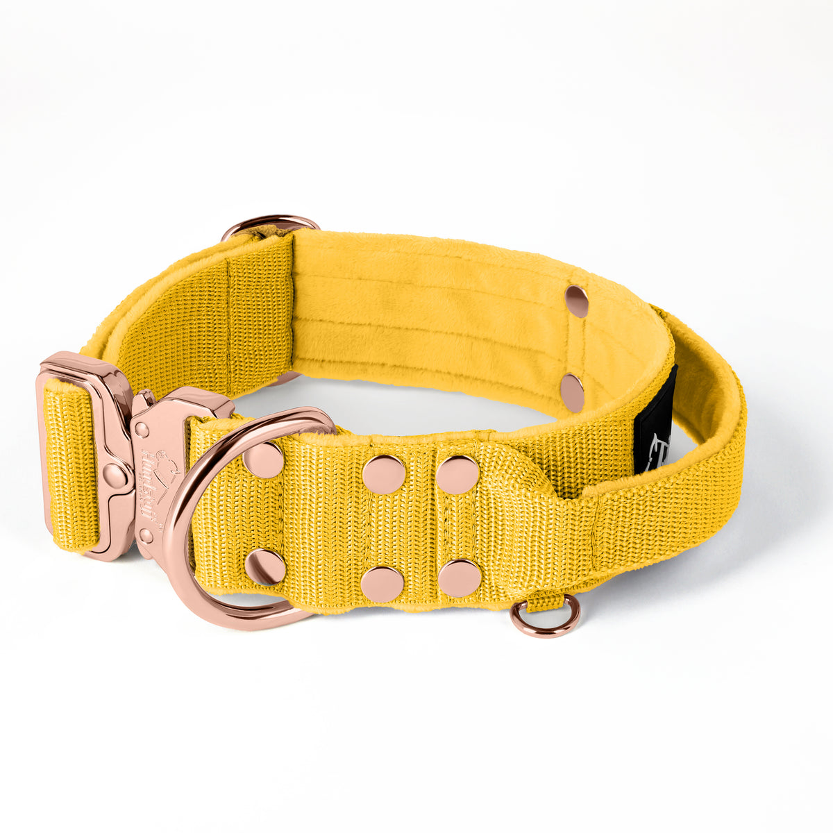 Extreme Buckle Rose Edition Yellow