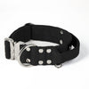 Extreme Buckle Silver Edition Black