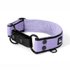 Martingale Black Edition Baby Purple