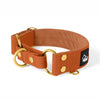 Martingale Gold Edition Burned Orange