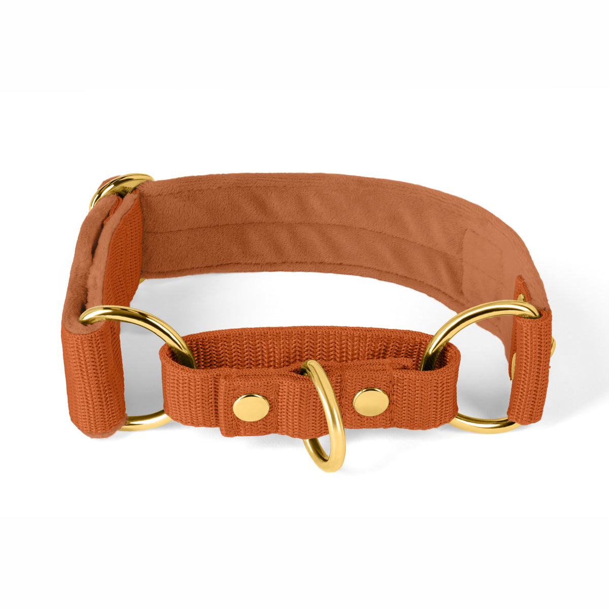 Martingale Gold Edition Burned Orange