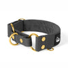 Martingale Gold Edition Dark Grey