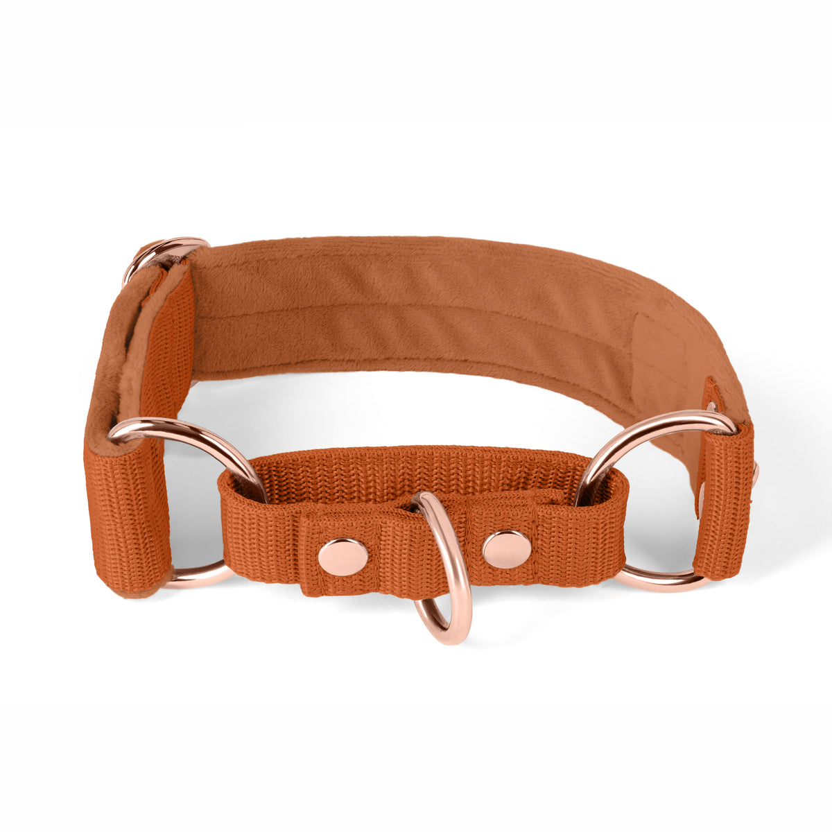 Martingale Rose Edition Burned Orange