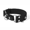 Martingale Silver Edition Black