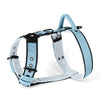 Easy Walk Black Edition Baby Blue