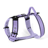 Easy Walk Black Edition Baby Purple