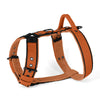 Easy Walk Black Edition Burned Orange