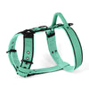 Easy Walk Black Edition Mint