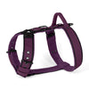 Easy Walk Black Edition Plum