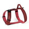 Easy Walk Black Edition Raspberry Red