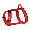 Easy Walk Black Edition Red