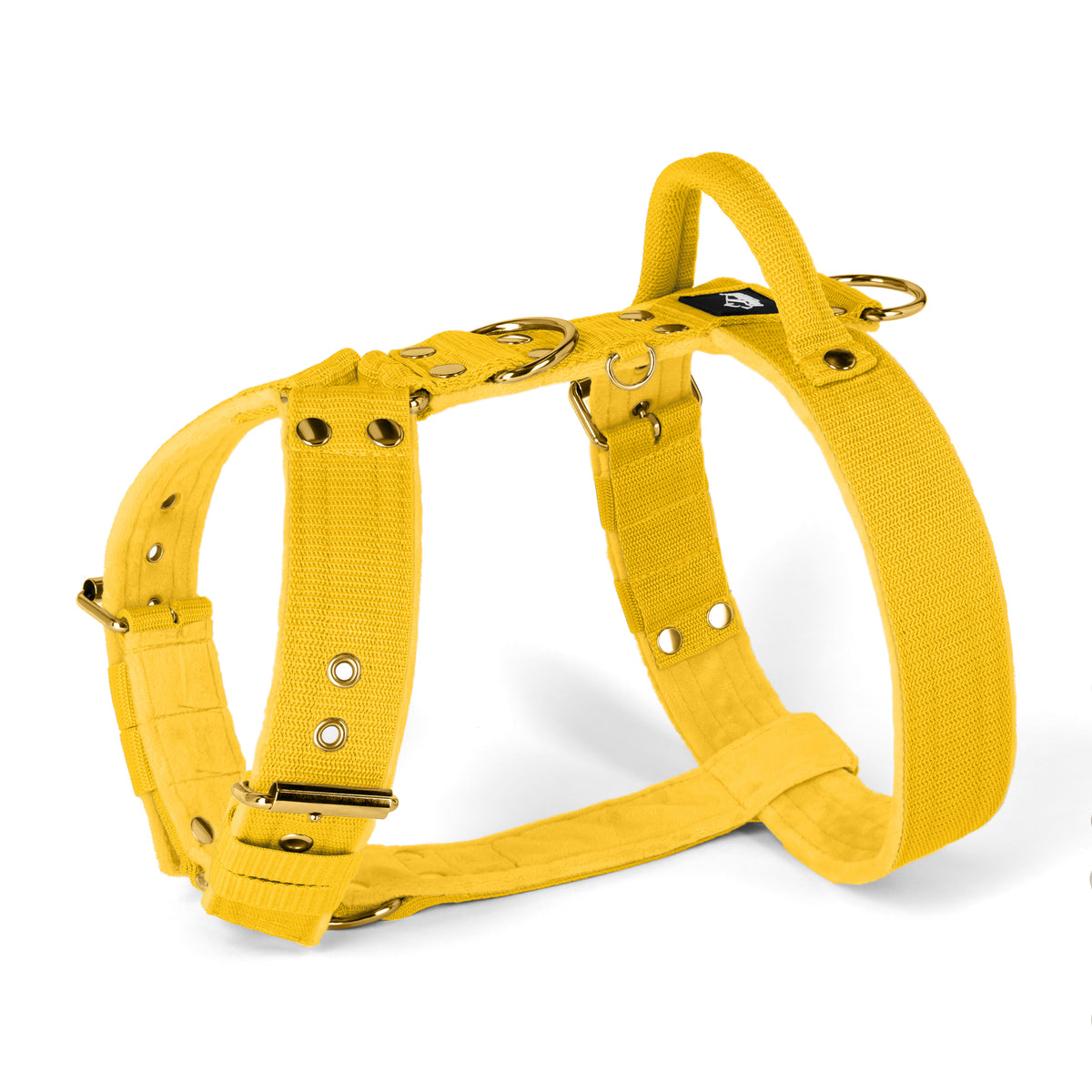 Easy Walk Gold Edition Yellow