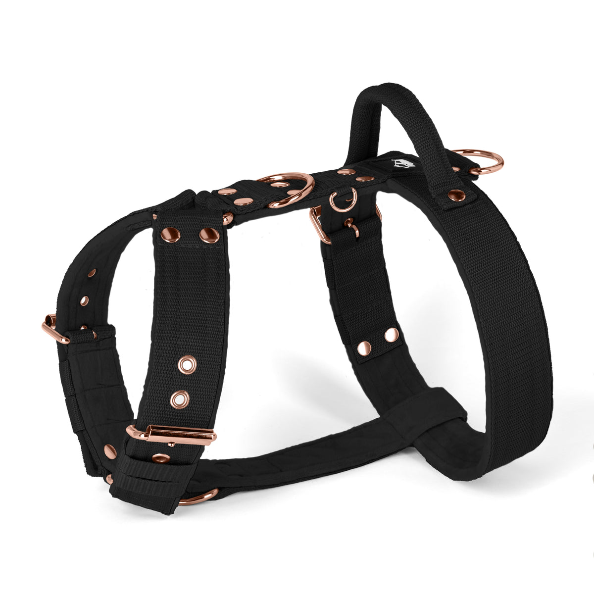 Easy Walk Rose Edition Black