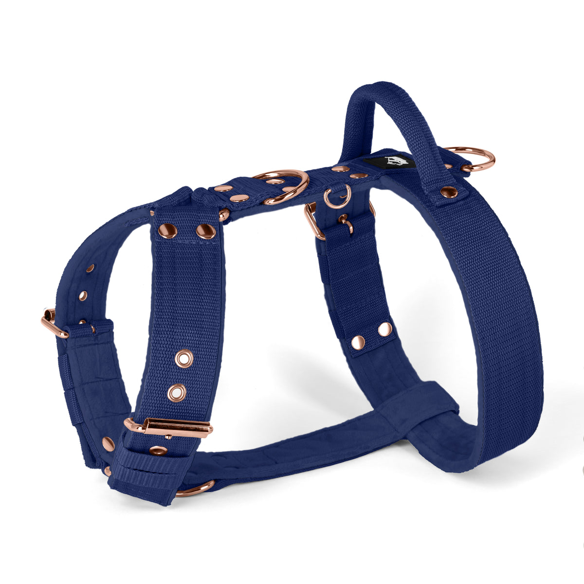 Easy Walk Rose Edition Navy Blue