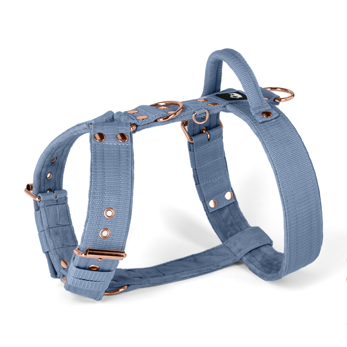 SALE Easy Walk Rose Edition Pastel Blue, Taille M, Largeur 4 cm, Avec poignée, Boucles Extreme or rose
