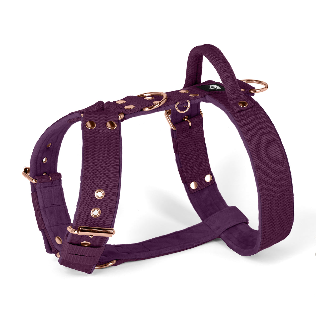 Easy Walk Rose Edition Plum