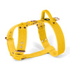 Easy Walk Rose Edition Yellow
