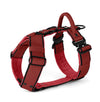 Easy Walk Extreme Black Edition Raspberry Red