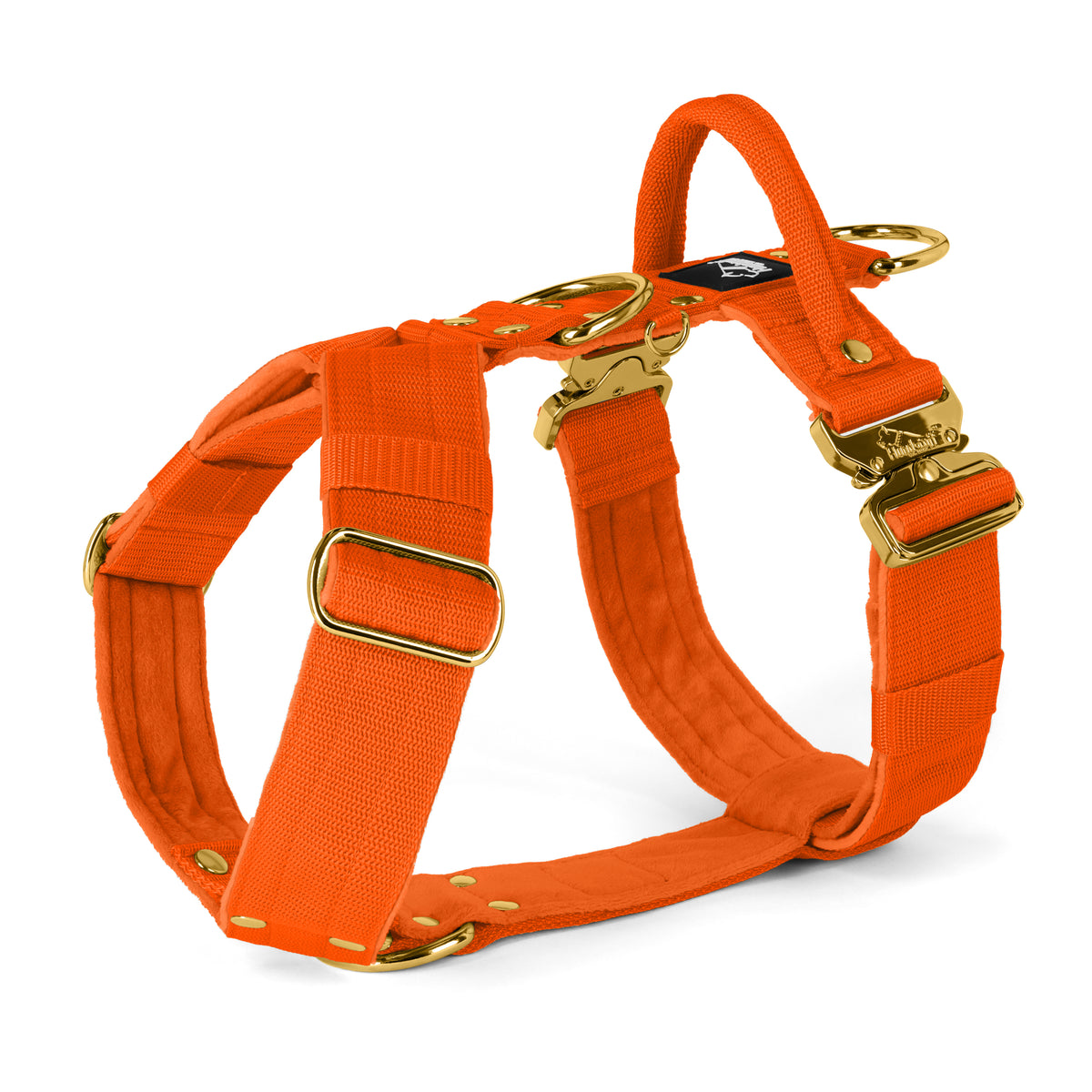 Easy Walk Extreme Gold Edition Orange