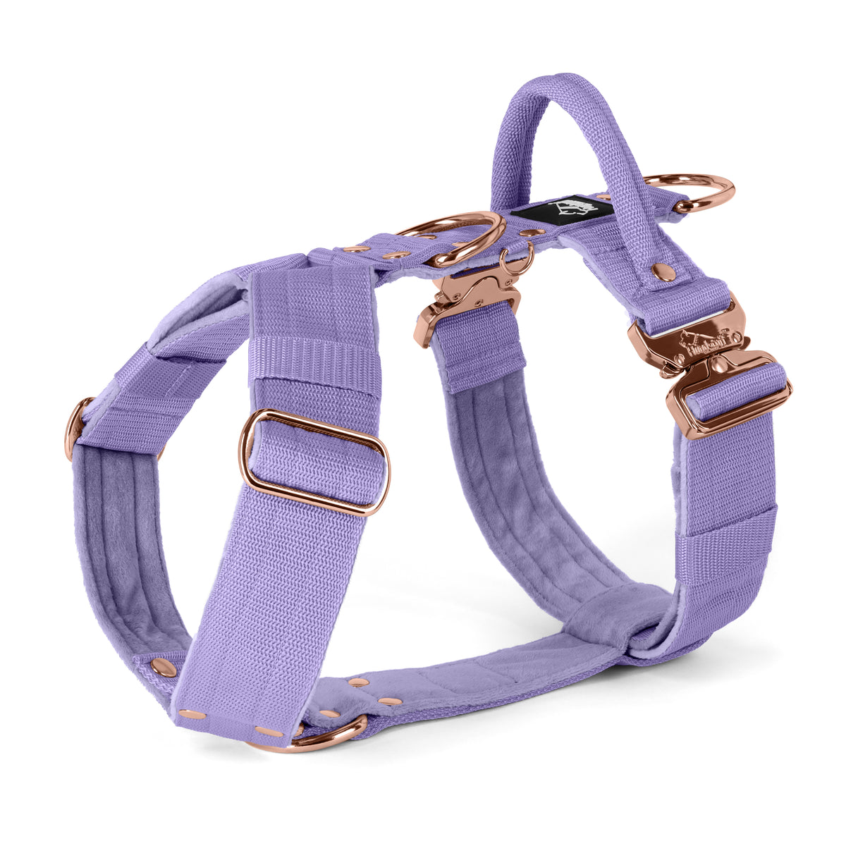 Easy Walk Extreme Rose Edition Baby Purple