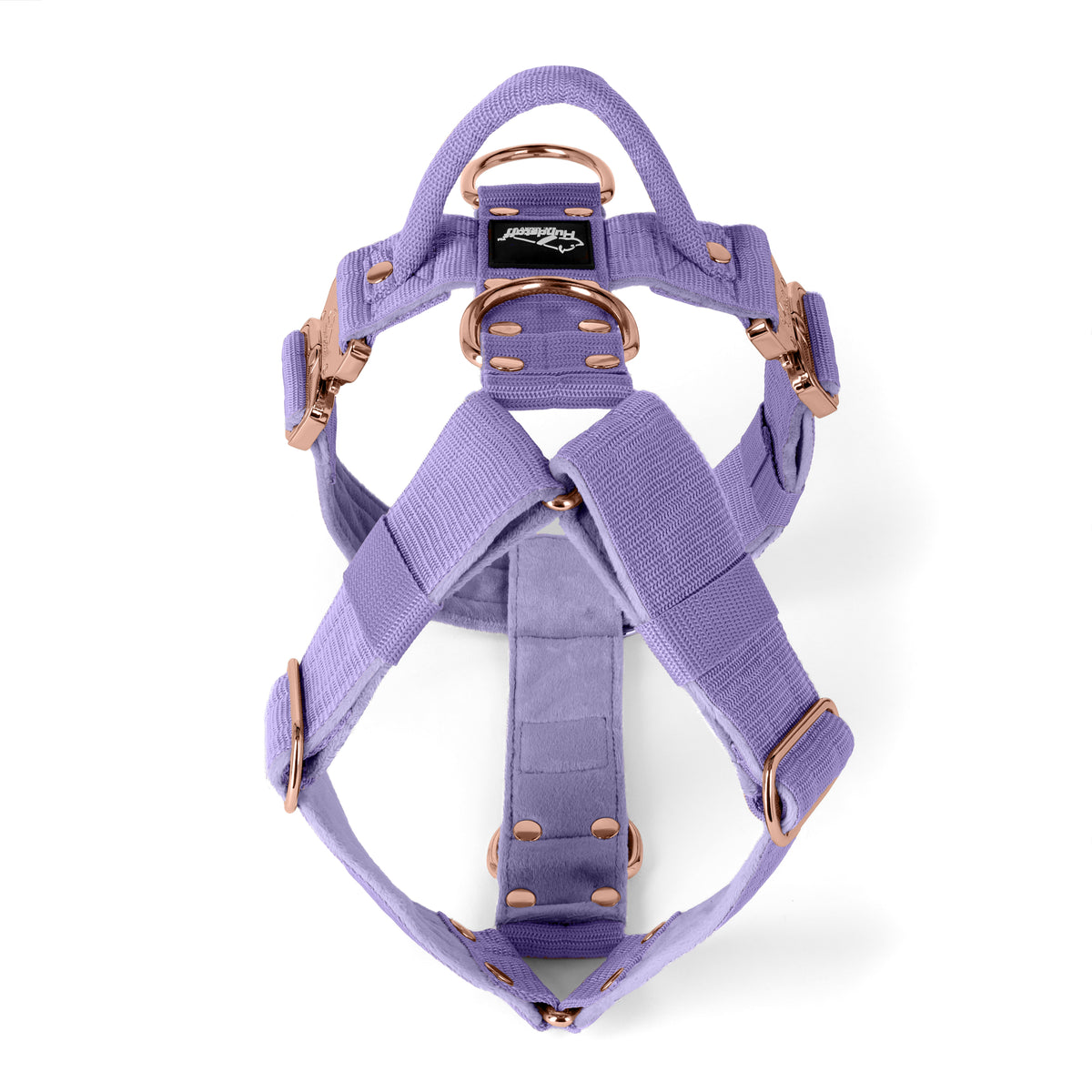 Easy Walk Extreme Rose Edition Baby Purple
