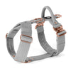 Easy Walk Extreme Rose Edition Grey