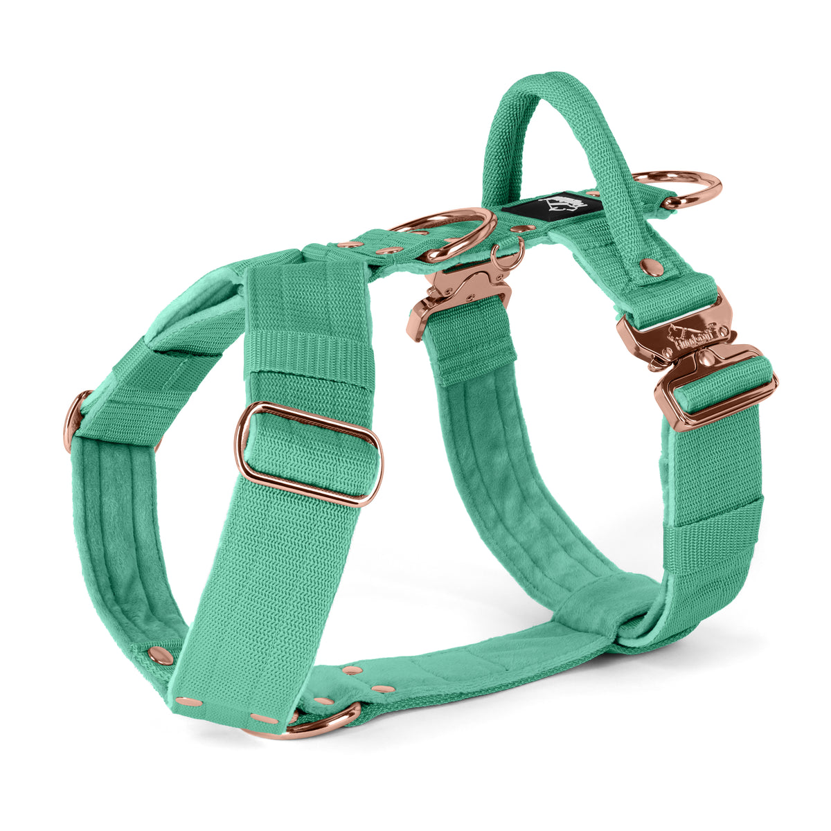 Easy Walk Extreme Rose Edition Mint
