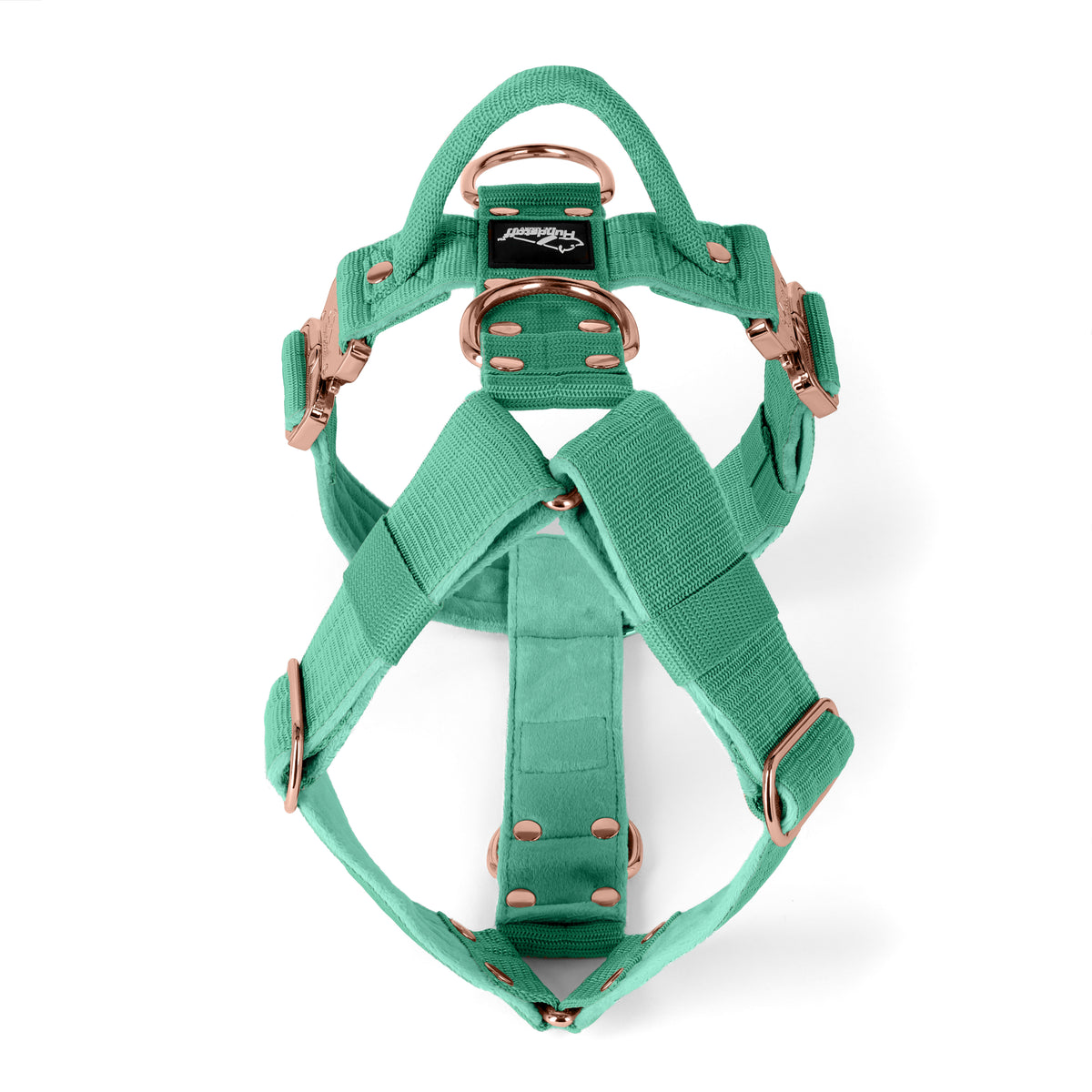 Easy Walk Extreme Rose Edition Mint