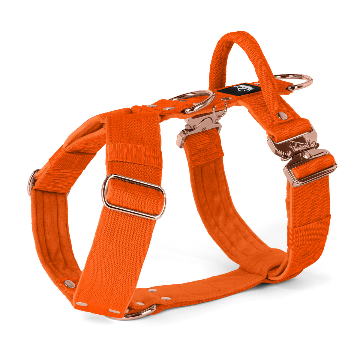 Easy Walk Extreme Rose Edition Orange