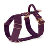 Easy Walk Extreme Rose Edition Plum