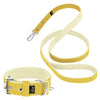 Active Set Baby Yellow - Collier et laisse actifs