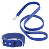 Active Set Blue - Collier et laisse actifs
