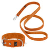 Active Set Orange - Collier et laisse actifs