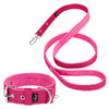 Active Set Pink - Collier et laisse actifs