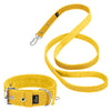 Active Set Yellow - Collier et laisse actifs